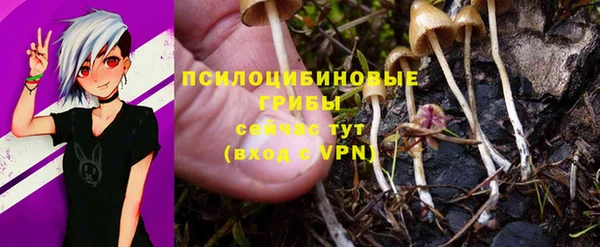 PSILOCYBIN Арсеньев